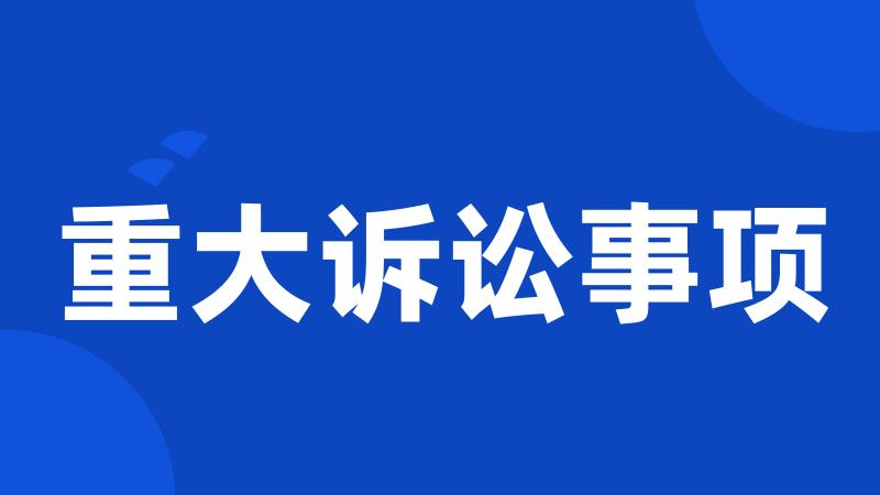 重大诉讼事项