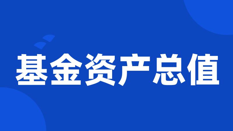 基金资产总值