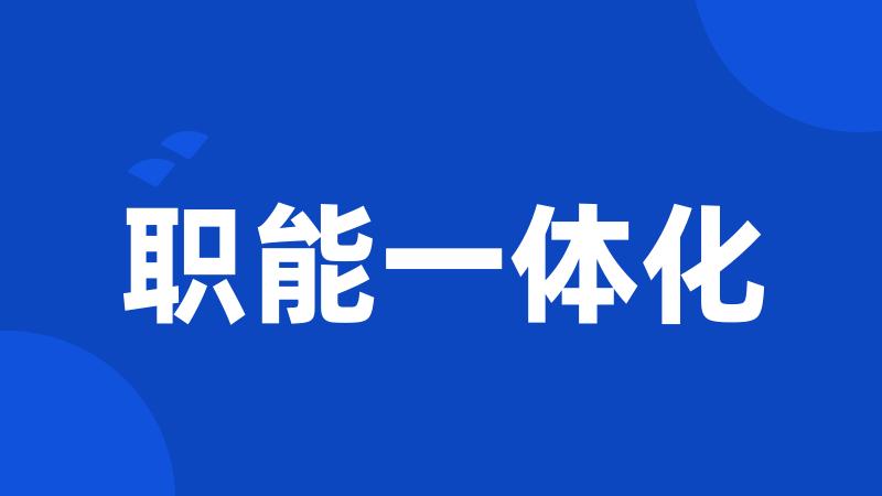 职能一体化