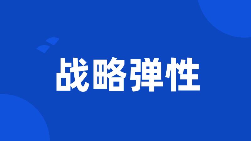 战略弹性