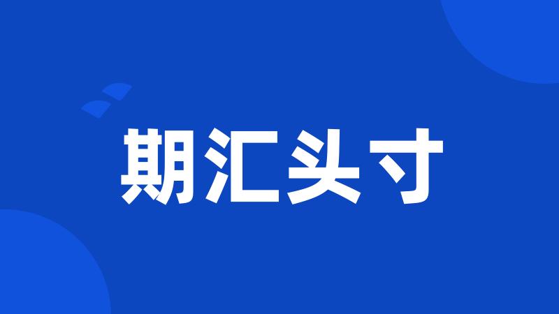 期汇头寸