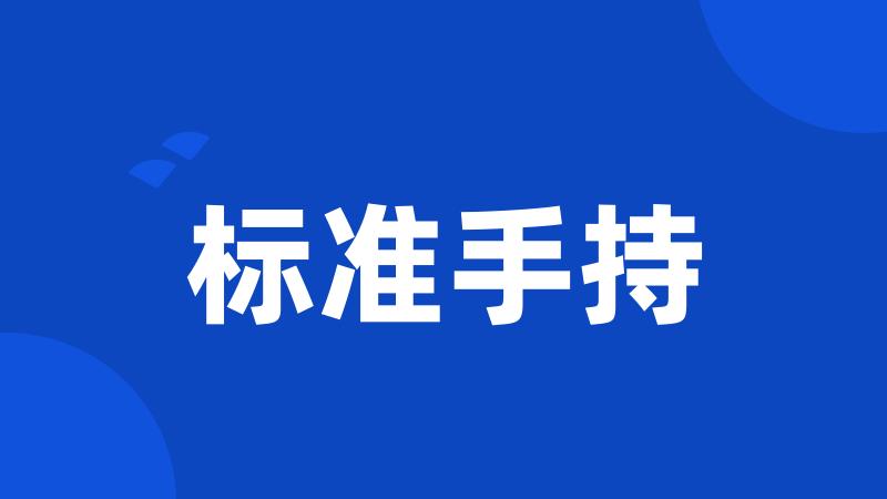 标准手持