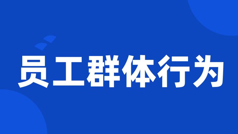 员工群体行为