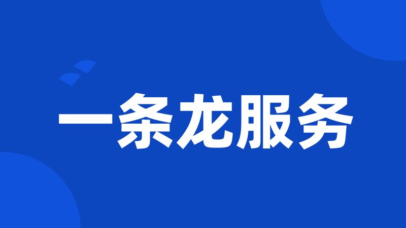 一条龙服务