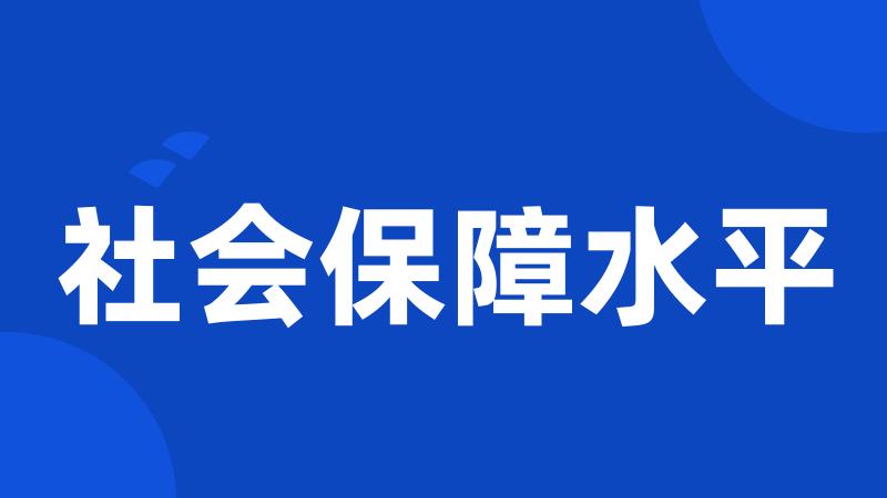 社会保障水平
