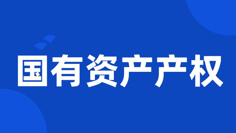 国有资产产权