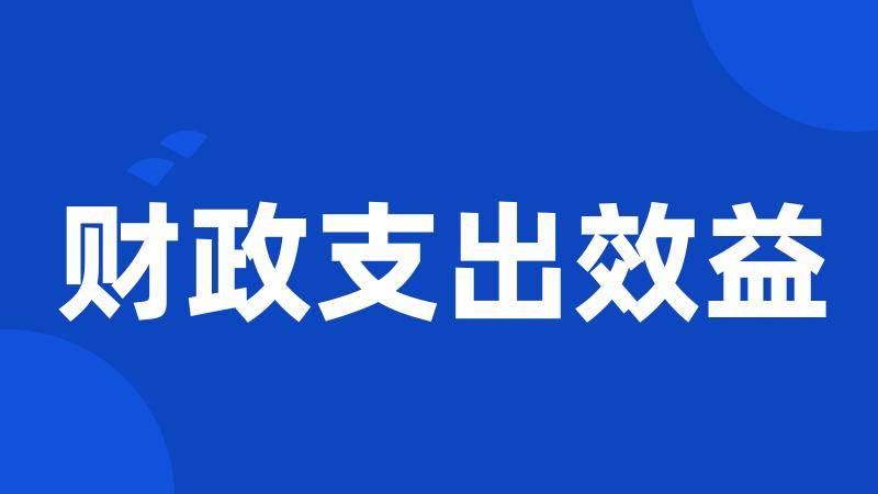 财政支出效益