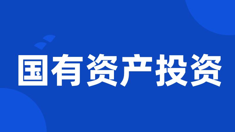 国有资产投资