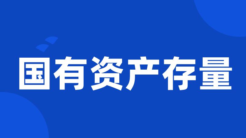 国有资产存量