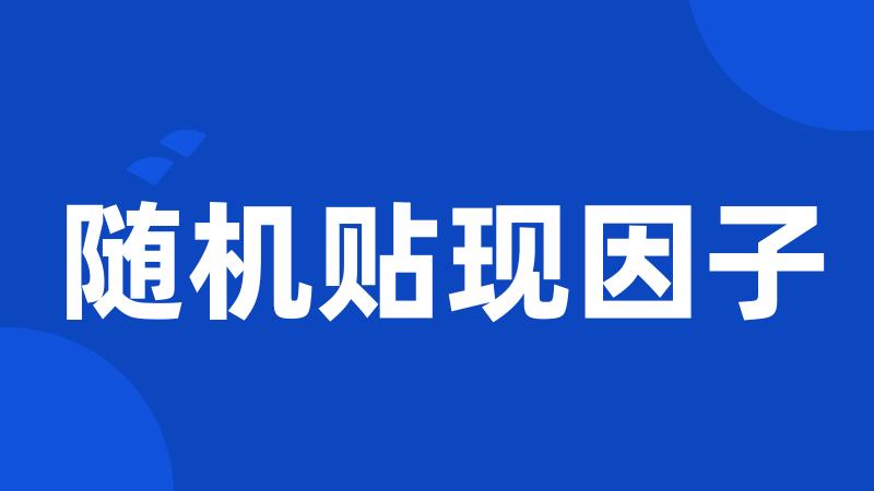 随机贴现因子