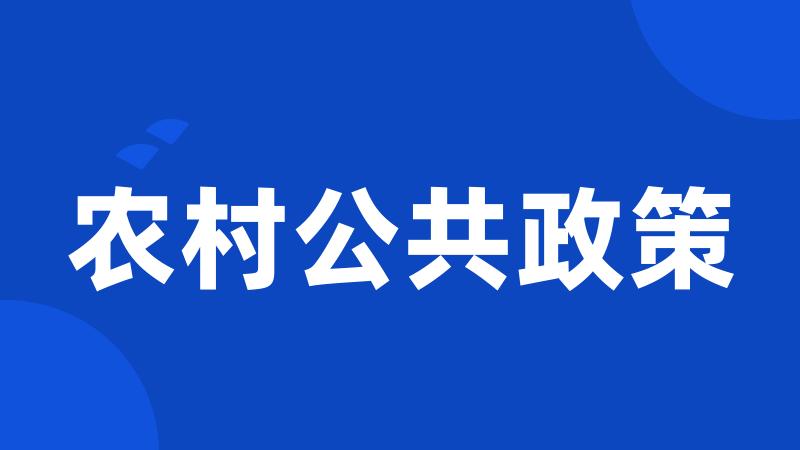 农村公共政策