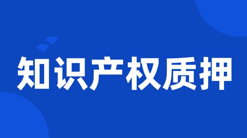 知识产权质押