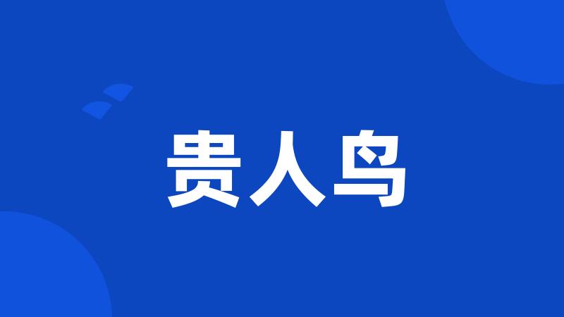 贵人鸟