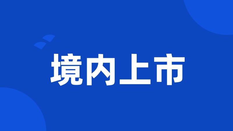 境内上市