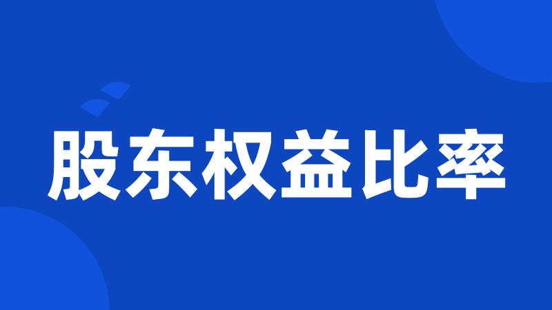 股东权益比率