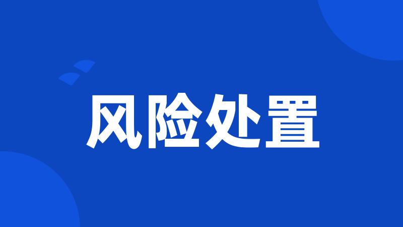 风险处置