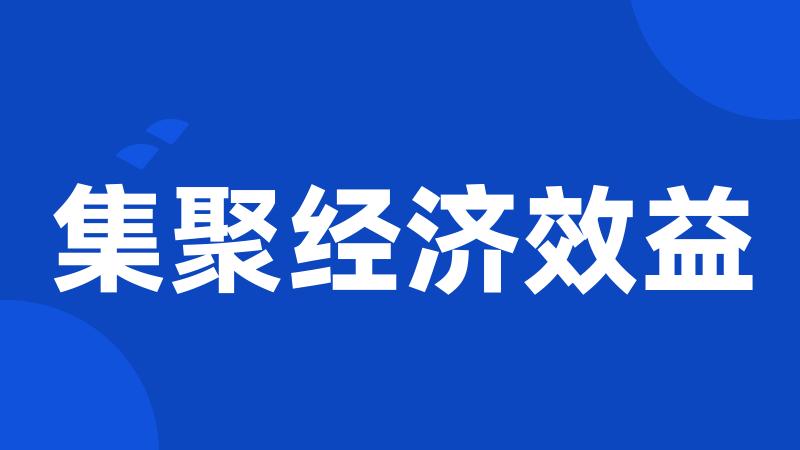 集聚经济效益