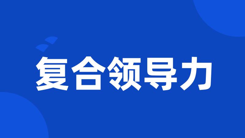复合领导力