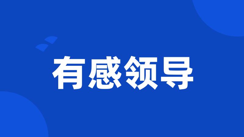 有感领导
