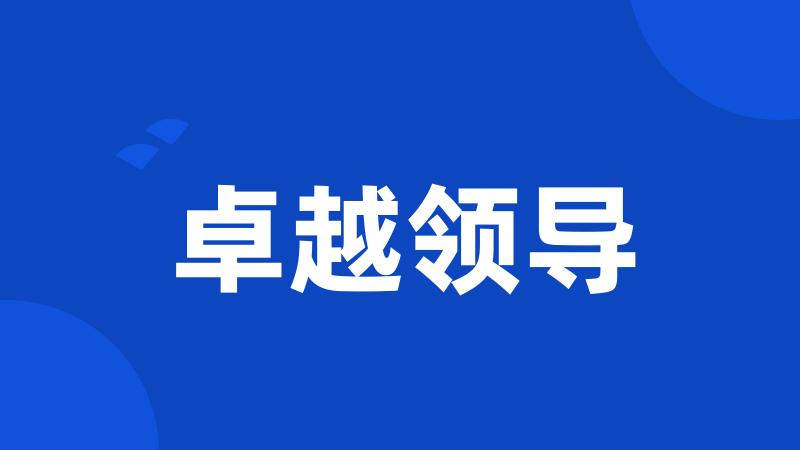 卓越领导