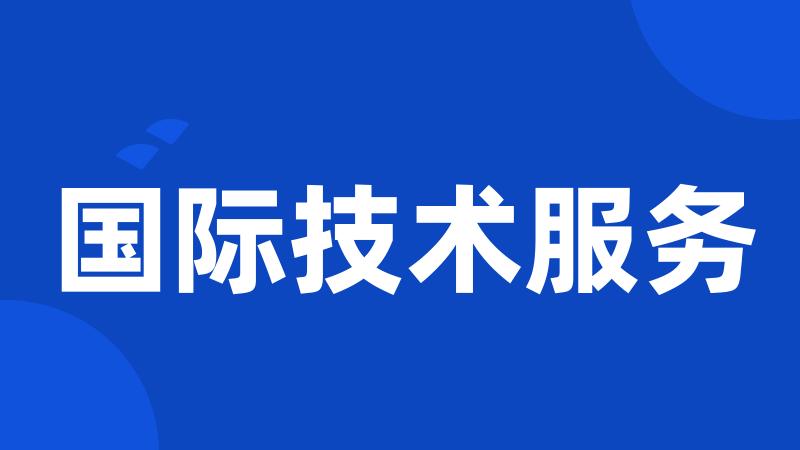 国际技术服务