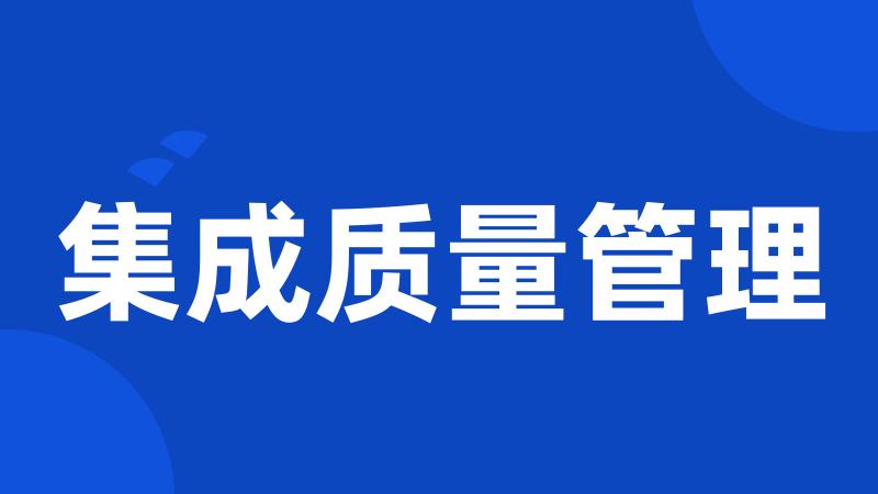 集成质量管理