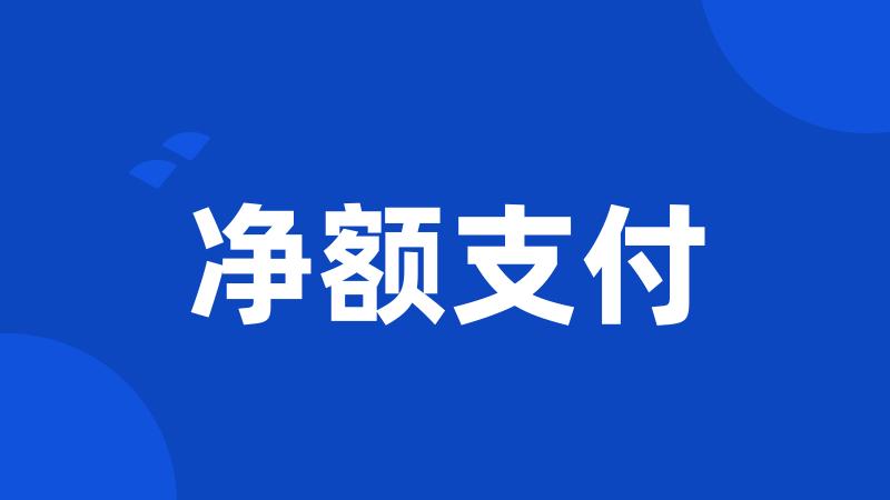 净额支付