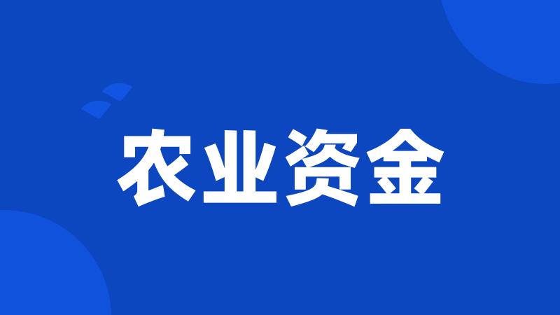农业资金