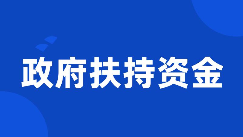 政府扶持资金