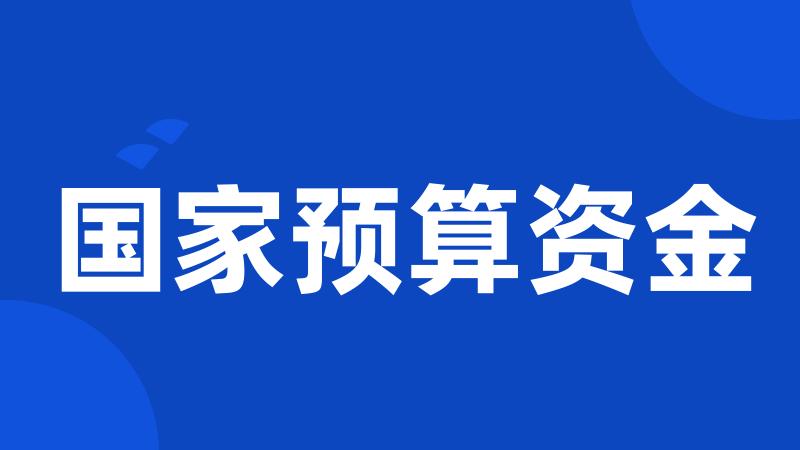 国家预算资金