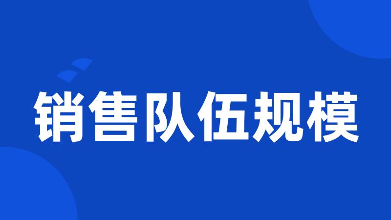 销售队伍规模