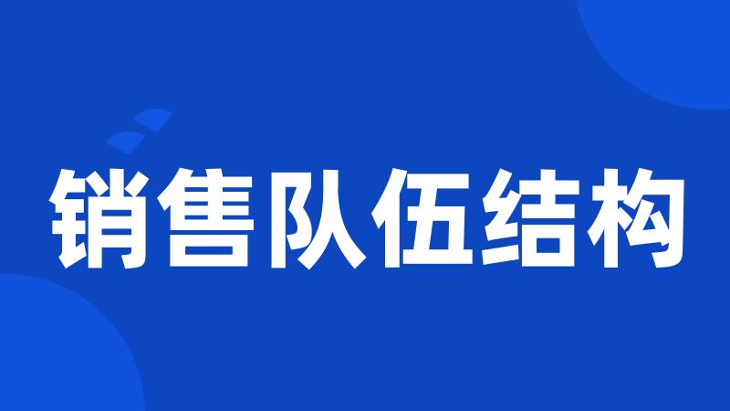 销售队伍结构