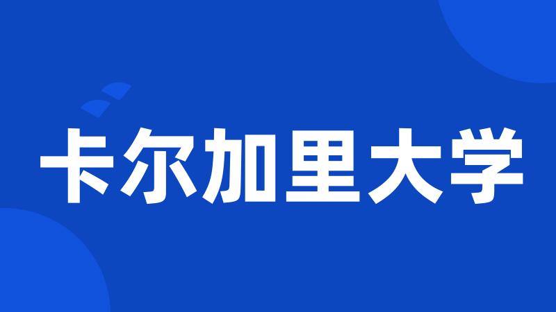 卡尔加里大学