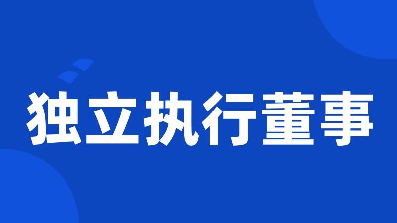 独立执行董事