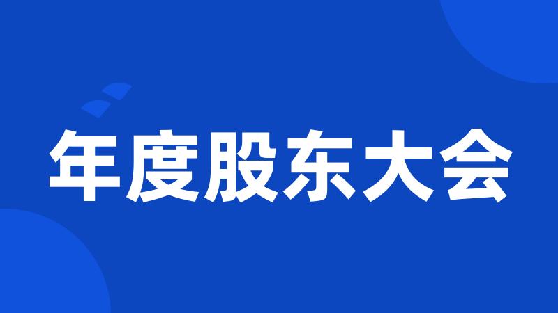 年度股东大会