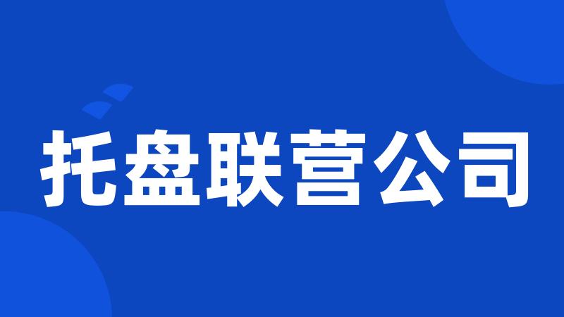 托盘联营公司
