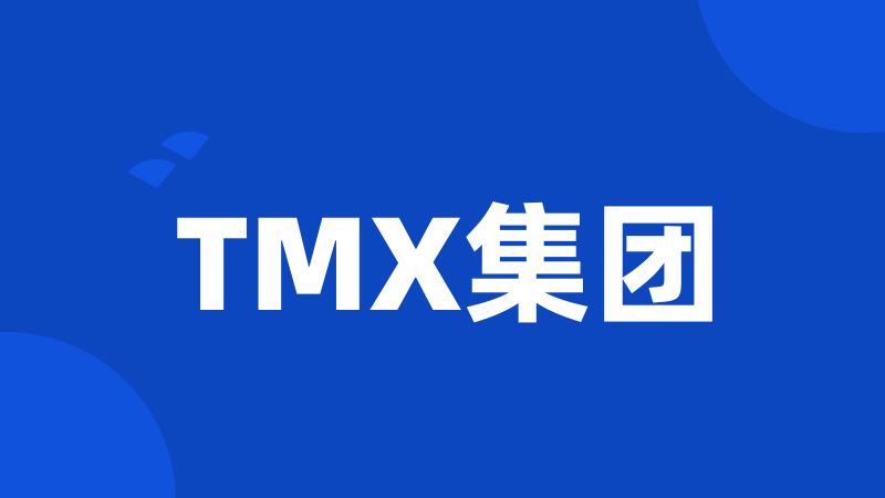 TMX集团