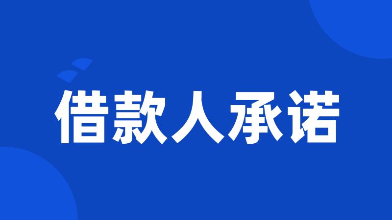 借款人承诺