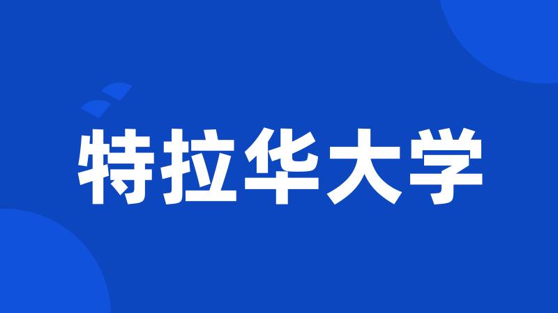 特拉华大学