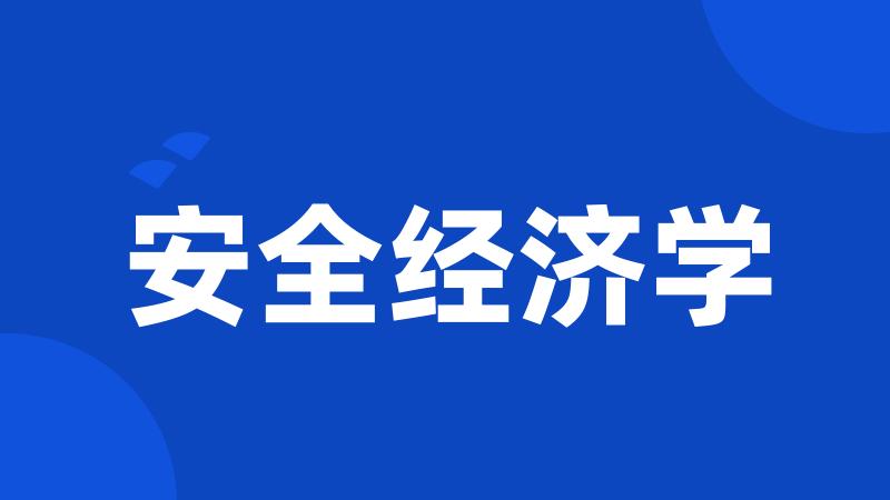 安全经济学