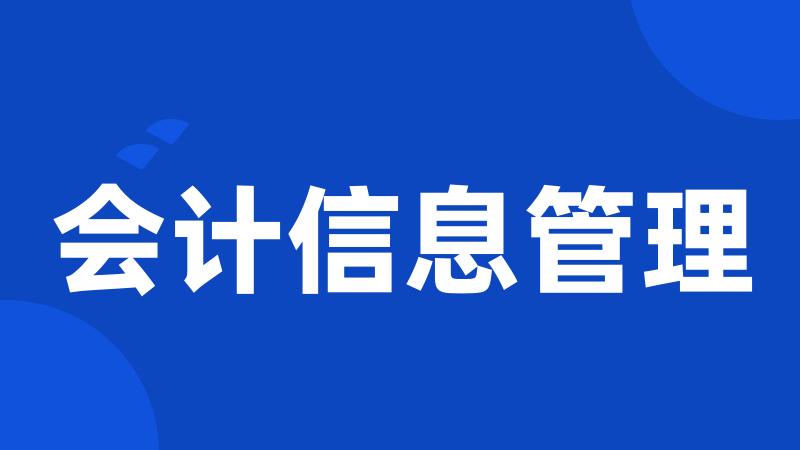 会计信息管理
