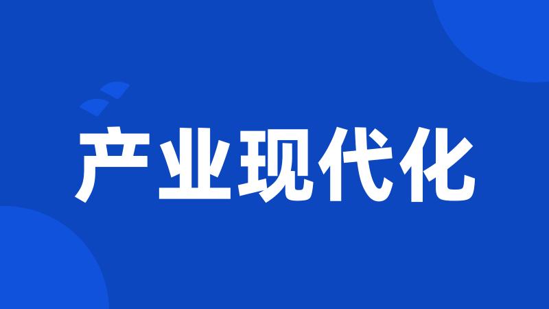 产业现代化