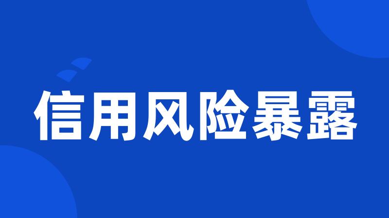 信用风险暴露