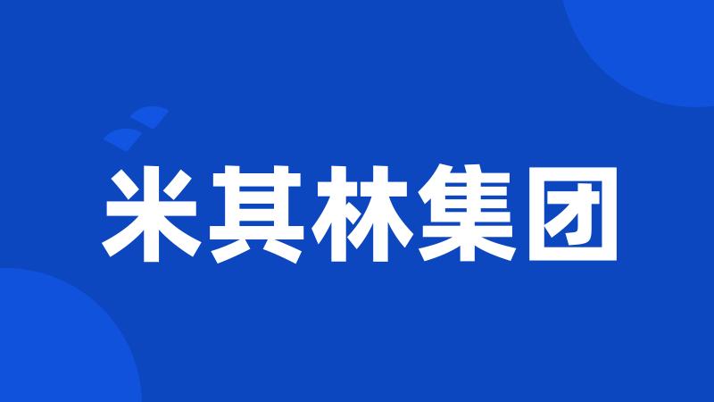 米其林集团