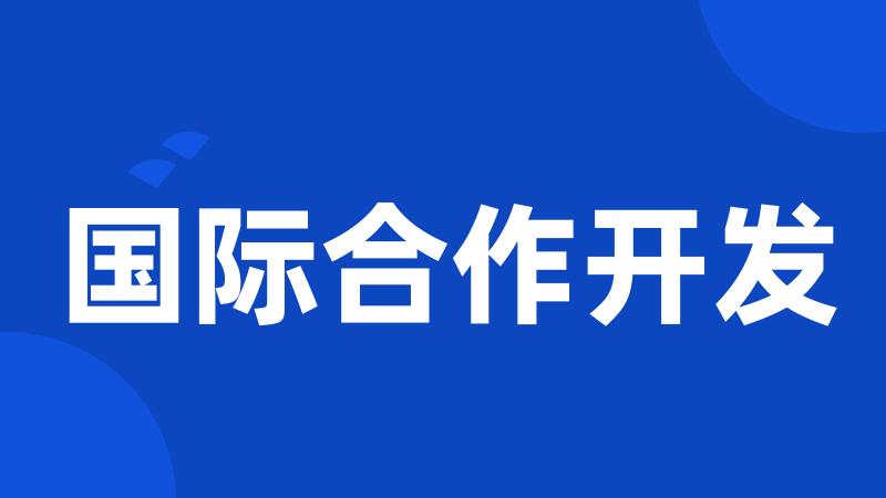 国际合作开发