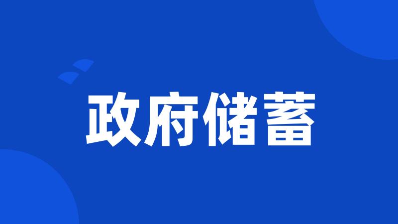 政府储蓄