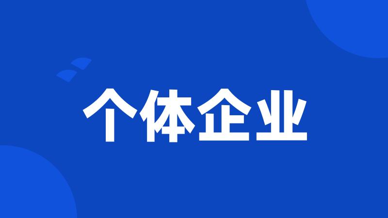 个体企业