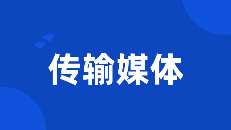 传输媒体