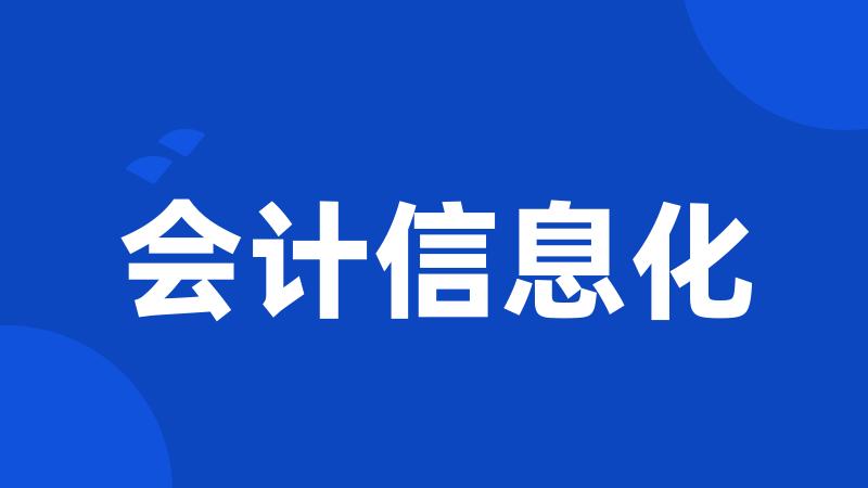 会计信息化