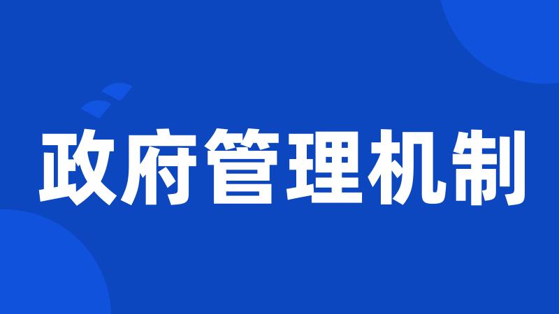 政府管理机制